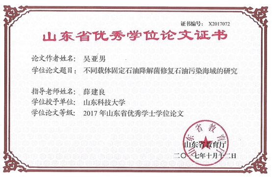 bevictor伟德官网