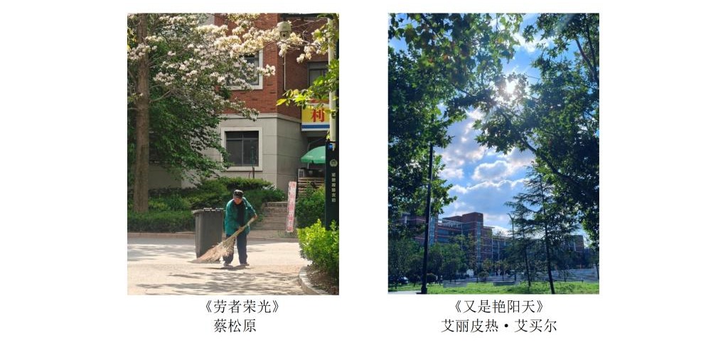 bevictor伟德官网